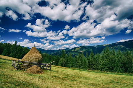 Summer mountain landscapeの写真素材