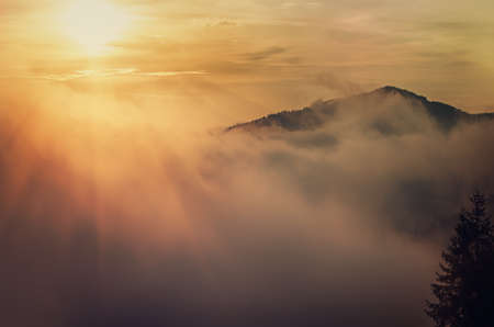 Foggy morning landscapeの写真素材
