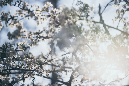 Abstract spring backgroundの写真素材