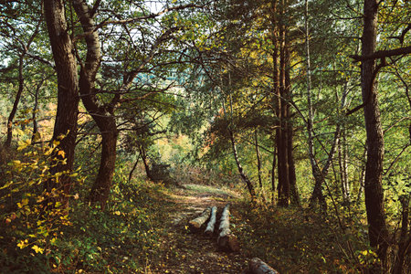Beautiful autumn landscape