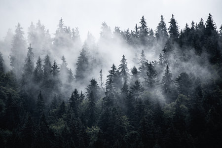 Misty mountain landscapeの写真素材
