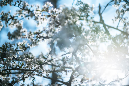 Abstract spring backgroundの写真素材