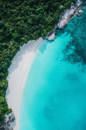 Tropical beach and sea waves, aerial abstract background, summer seasonal conceptの素材
