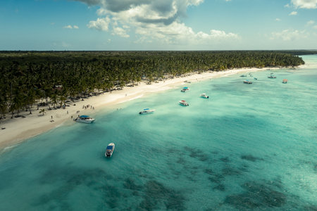 Tropical Caribbean beach from above, Dominican Republicの写真素材