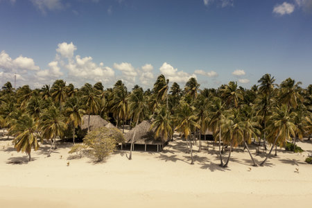 Tropical Caribbean beach, Dominican Republicの写真素材