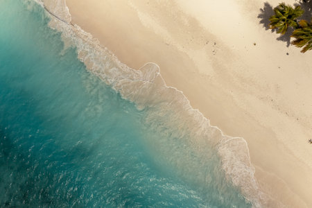 Tropical carribbean beach, aerial abstract background