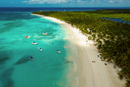 Tropical Caribbean beach from above, Dominican Republicの写真素材