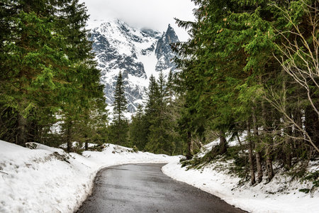 Mountain fir forest and the road near Morskie Oko Lake in Poland at Winter. Tatras mountainsの写真素材