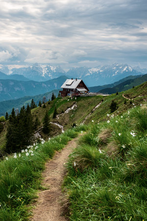 Mountain landscape with daffodil narcissus flowers and shelter house at springの写真素材