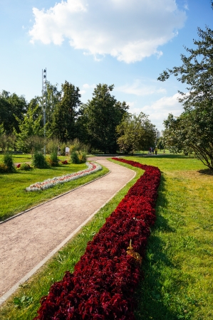 Stone walk way winding in a garden, red flowersの写真素材