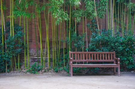 Bench with bamboo around it in the parkの写真素材