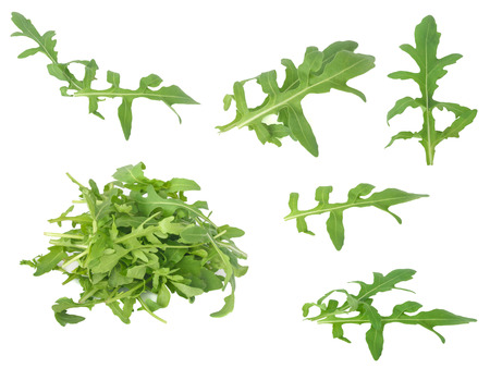 fresh arugula leaves isolated on whiteの写真素材