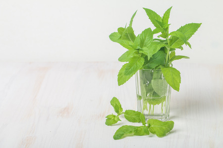Fresh mint in glass on white backgroundの写真素材