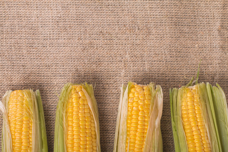 Grains of ripe corn close up on wooden background top view