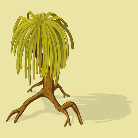 swamp mangrove tree in isometric similar to the humanのイラスト素材