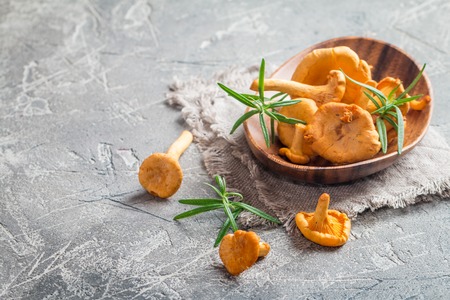 Bowl of chanterelle mushrooms and rosemary on gray background Cantharellus cibarius, commonly known as the chanterelle, golden chanterelle or girolleの写真素材