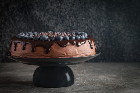 super chocolate cake with chocolate sauce and blueberryの写真素材