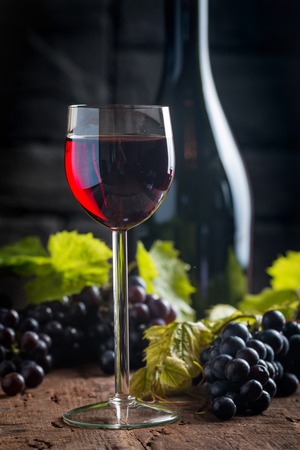 Red wine and grapesの写真素材