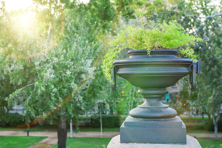 Decorative vase or planterの写真素材