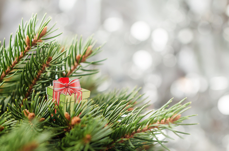 Silver Christmas background of defocused bokeh lights with decorated fir tree branchesの写真素材