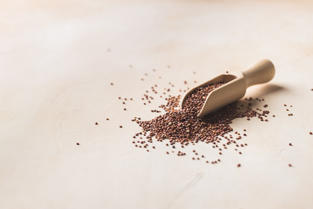 Healthy quinoa seedsの写真素材