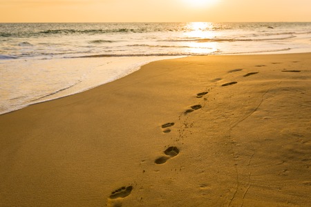 Landscape of sunset on the beachの写真素材