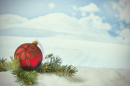 Winter Christmas background.の写真素材