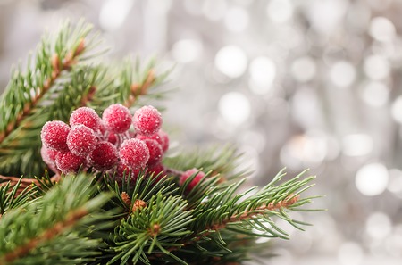 Silver Christmas backgroundの写真素材