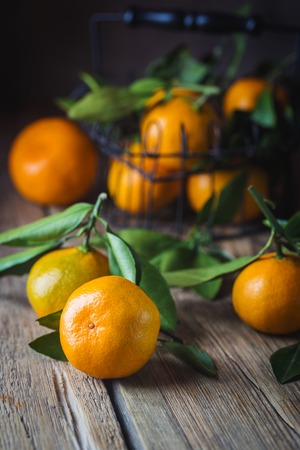 Tangerines with green leaves.の写真素材