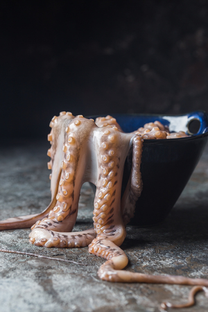 Fresh raw octopusの写真素材