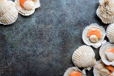 raw fresh scallopsの写真素材