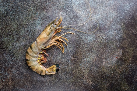 Raw fresh Tiger Prawnの写真素材