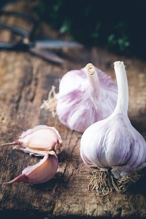 Organic garlic bulbs with garlic cloves on old wooden boardの写真素材