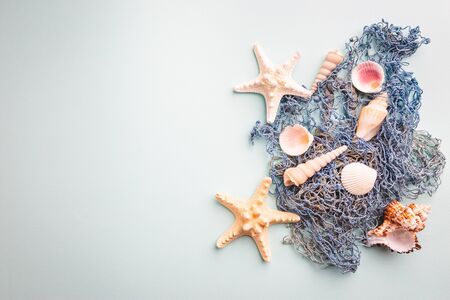 composition of exotic sea shells and starfish on blue background, top view. Summer sea flat lay
