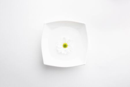 White chamomile flowersの写真素材