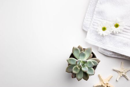 Spa wellness flat lay.の写真素材