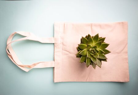 Zero waste conception, cotton bags for free plastic shoppingの写真素材
