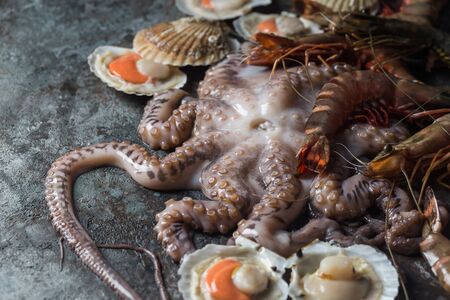 Assortment of seafood with raw fresh octopus, scallops and prawns, as an gourmet dinner backgroundの写真素材