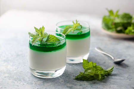 Dessert Panna Cotta with mint sauce and fresh mint on white backgroundの写真素材