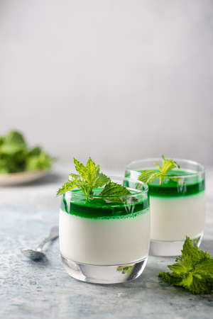 Dessert Panna Cotta with mint sauce and fresh mint on white backgroundの写真素材