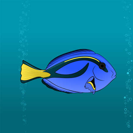 Regal Blue Tang Cartoon picのイラスト素材