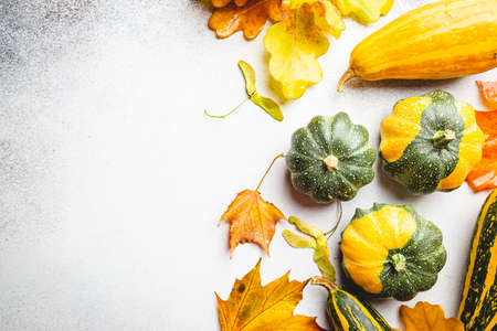 Autumn background: pumpkins and fallen leaves on white background. Top view and copy space. Halloween or Thanksgiving dayの写真素材