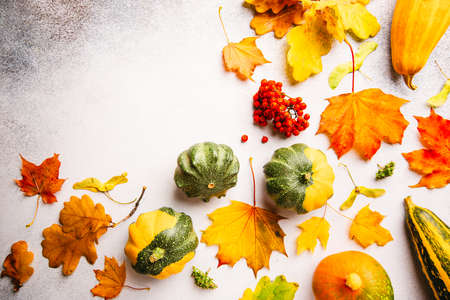 Autumn background: pumpkins and fallen leaves on white background. Top view and copy space....
