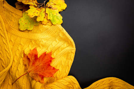 Autumn background: yellow sweater and fallen leaves on black background. Top view and copy space....