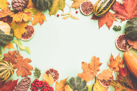 Autumn background: pumpkins and fallen leaves on bright colorful background. Top view and copy...