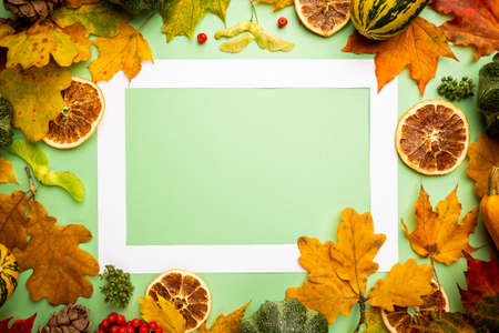 Autumn background: pumpkins and fallen leaves on bright colorful background. Top view and copy space. Halloween or Thanksgiving dayの写真素材