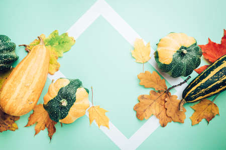 Autumn background: pumpkins and fallen leaves on bright colorful background. Top view and copy...