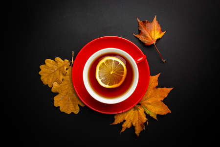 Cup of tea with autumn leaves. Top view and copy space. Halloween, Thanksgiving day or autumn backgroundの写真素材