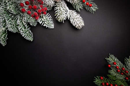 Christmas holidays composition with snowed fir tree branches on black background with copy space for your textの写真素材