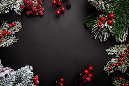 Christmas holidays composition with red berries and fir tree branches on black background with copy space for your textの写真素材